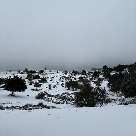 Casa Rural Las Nogueras Caserio Arroyofrio Екстериор снимка
