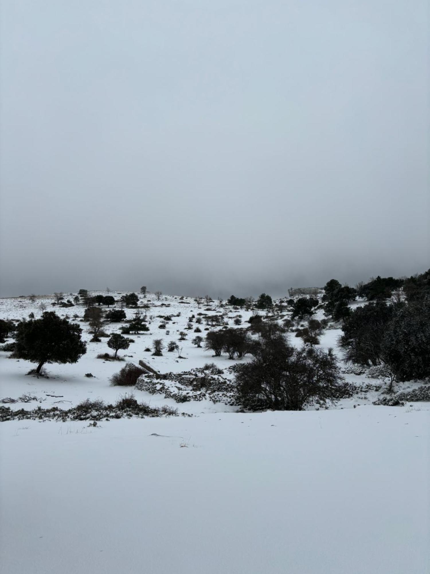 Casa Rural Las Nogueras Caserio Arroyofrio Екстериор снимка